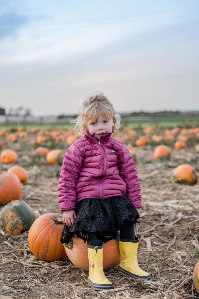 Pumpkin patch mini session essex