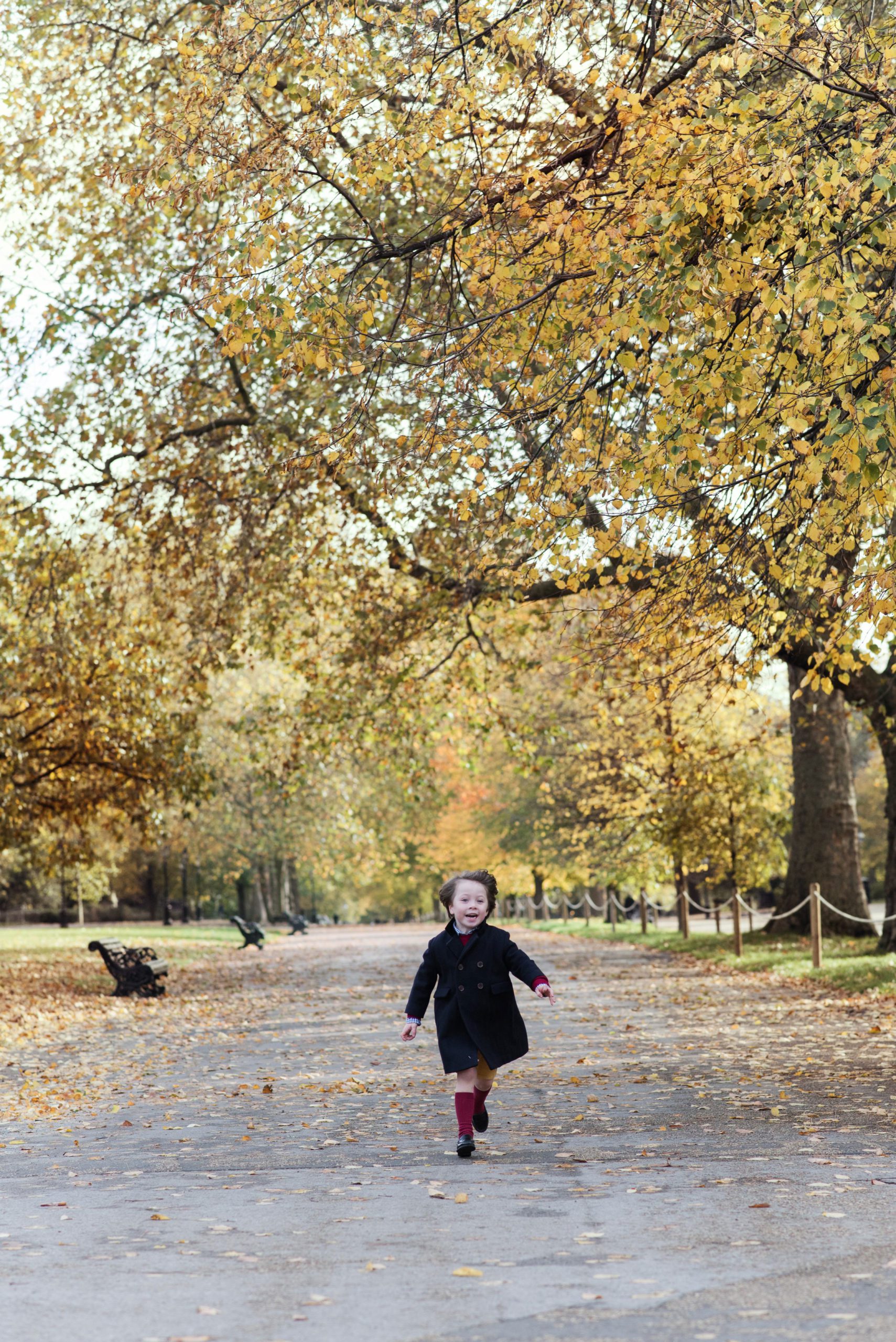 Hyde Park Autumn