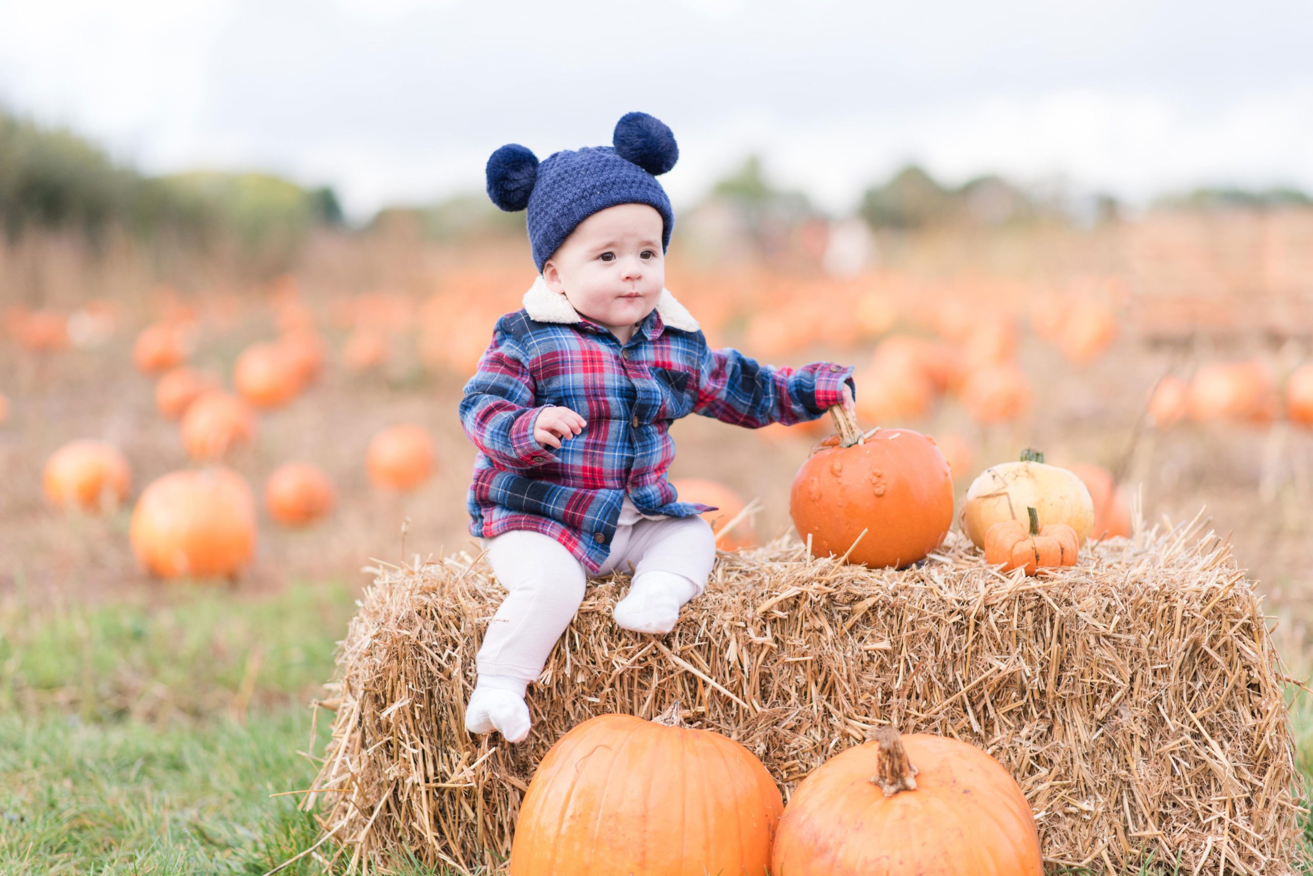 Pumpkin patch mini sessions Essex