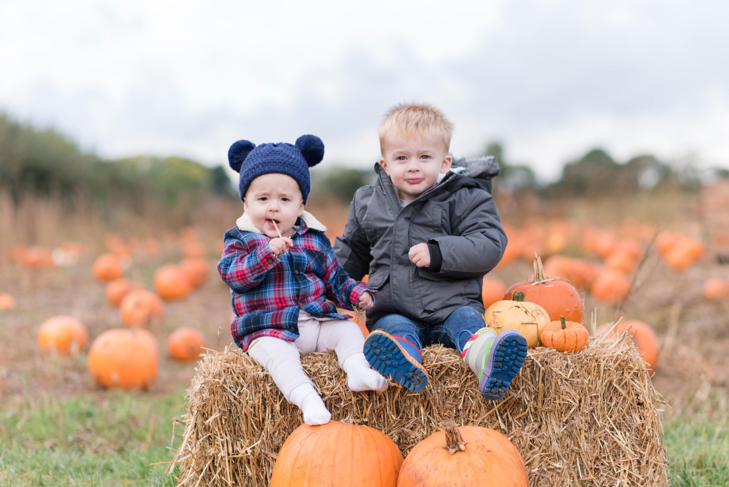 Pumpkin patch mini sessions Essex